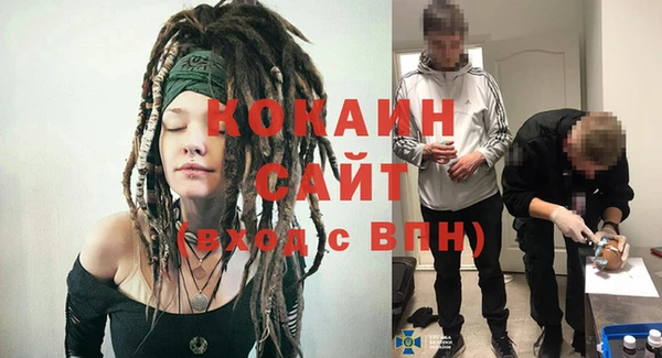2c-b Пестово