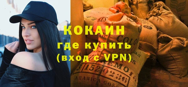 2c-b Пестово