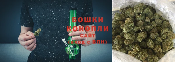 2c-b Пестово