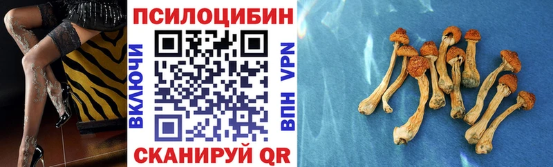 Псилоцибиновые грибы мухоморы Североморск