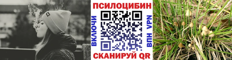 Псилоцибиновые грибы MAGIC MUSHROOMS  купить  сайты  Североморск 