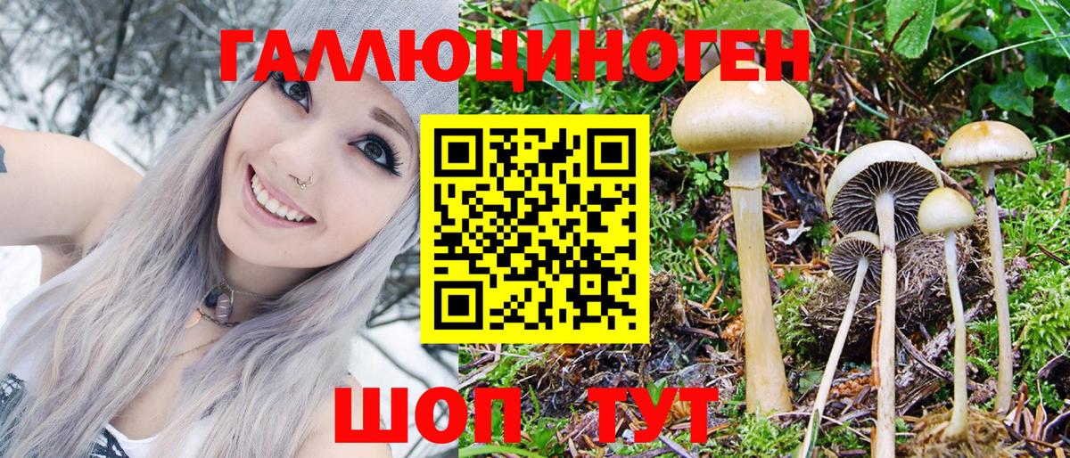 Псилоцибиновые грибы Magic Shrooms  Вход с VPN  Псилоцибиновые грибы Psilocybine cubensis  Североморск 
